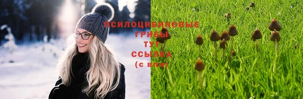герыч Гусь-Хрустальный