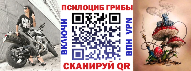 маркетплейс формула  купить наркоту  Духовщина  Псилоцибиновые грибы Psilocybine cubensis 