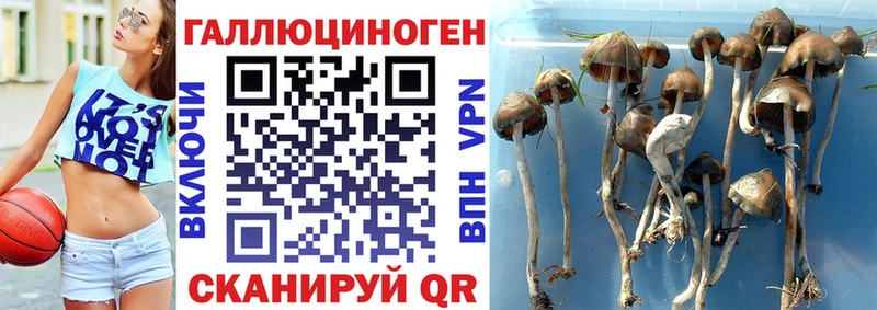 Галлюциногенные грибы мицелий Духовщина